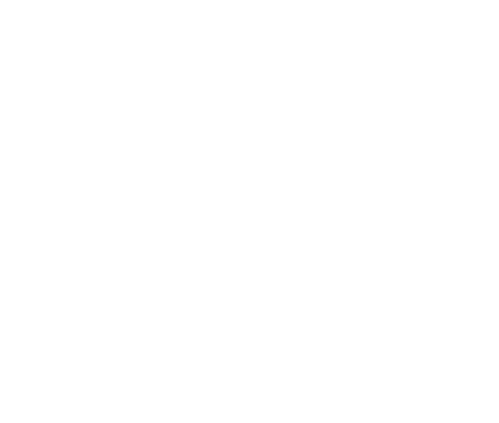 2×4 油圧式制振装置で業界初の筋交大型タイプ